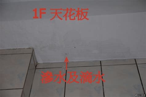 樑柱漏水|梁柱漏水的問題請教？